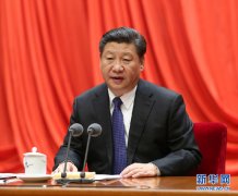 <b>新华网评：全面从严治党，基层发力点在哪儿？</b>