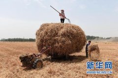 <b>丰收为啥还进口——我国粮食供需结构出了啥问题？</b>