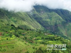 <b>四川：6亿元助力古蔺叙永等县脱贫攻坚</b>