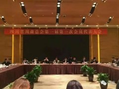 <b>王健林刘永好领衔川商总会 号召全球川商返乡发展</b>