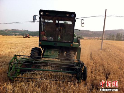 资料图:王登峰 摄 资料图:王登峰 摄