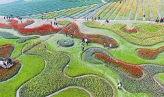 <b>泸州市纳溪区清溪沟：废弃工业厂区变美丽花海</b>