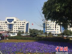 <b>长沙县政府大院拆围墙建公园 占地130亩</b>