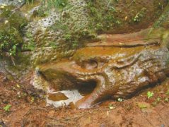 <b>四川千年石龙将露真容 张献忠“寻银诀”待解(图)</b>