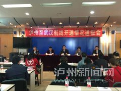 <b>泸州至武汉航线4月2日开通 最低260元直飞武汉看樱花</b>