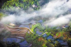 <b>宜宾连天山森林公园现云海奇观 宛若仙境</b>