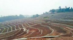 <b>央视两次聚焦“绿色宜宾” 报道水土流失治理经验</b>