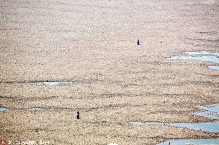 <b>重庆嘉陵江缩水严重 江滩大片裸露好似沙漠</b>