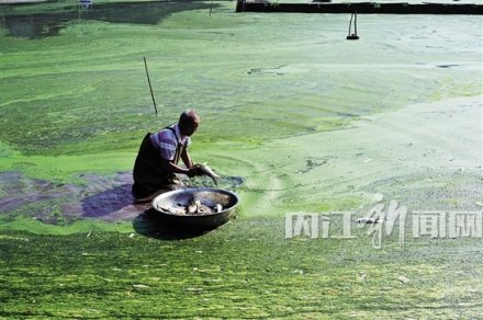 <b>四川内江：一村民两块池塘现怪事 几千公斤鱼三天内全死光</b>
