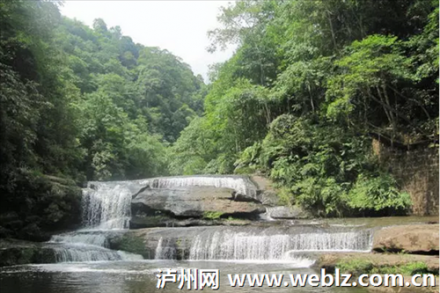 <b>泸州-黄荆的旅游专线客车开通了</b>