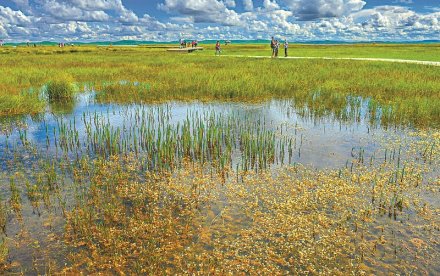 <b>6月花湖正春天 若尔盖湿地美如仙境(图)</b>