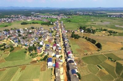 洪水退尽，但是水稻被泡，收成没有了。