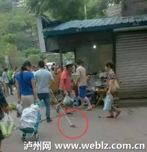 <b>泸州奇葩男子逛街 不遛小狗遛老鼠</b>