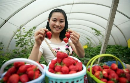 <b>泸州： 旅游+产业  助力村庄旧貌换新颜</b>