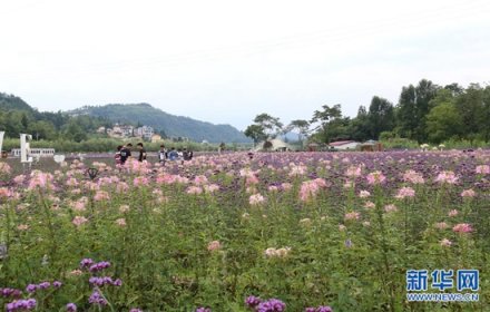 【走基层】贵州盘县农业观光旅游促商机 农户返乡创业当“客栈老