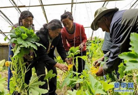 萨嘎县农牧局帮扶村民脱困