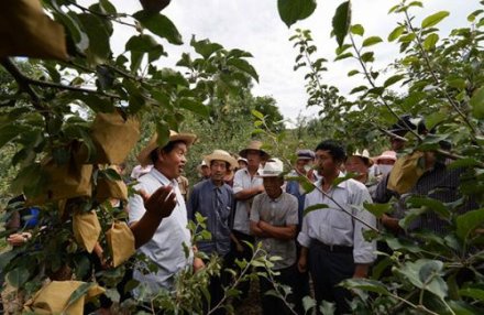 静宁县“田间课堂”传授技能脱贫经