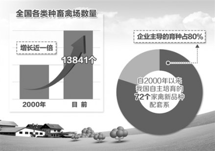 现代畜禽种业需打造自主品牌