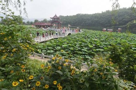 实干，成就大梨树人的梦想