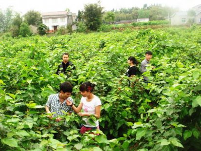 潼南：把农业资源转化为旅游经济