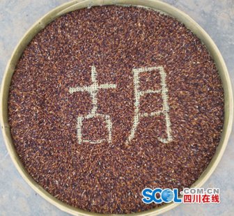 <b>宜宾长宁县彩色水稻“扮靓”贫困村</b>