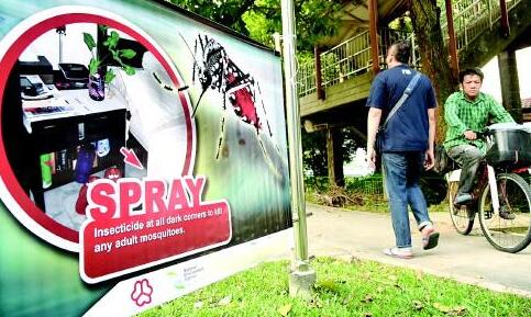 寨卡病毒持续蔓延 多国建议孕妇勿前往新加坡