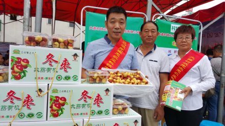 陕西大荔冬枣落户成都 最优价格直供蓉城市民果篮