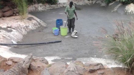 英媒称非洲兴起养鳄鱼:八成端上中国人餐桌 利润超100%