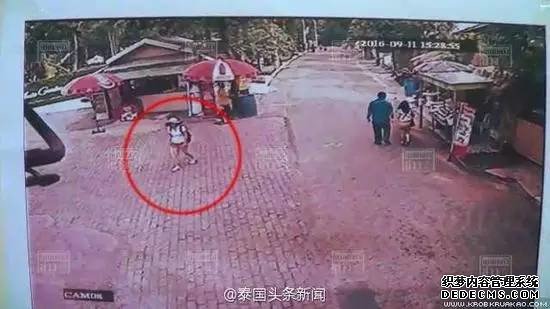 中国女游客在泰国虎园失踪，两百人搜寻未果，园内有100多只老虎