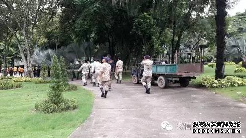 中国女游客在泰国虎园失踪，两百人搜寻未果，园内有100多只老虎