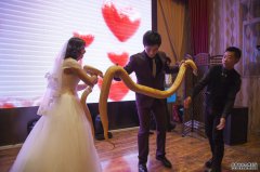 吉林一对新人婚礼上互赠黄金蟒做礼物