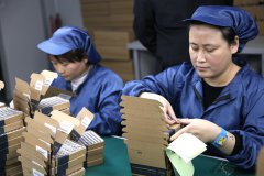 河南社旗:1800多在外创业人员凤还巢