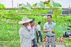 佛山“农民商人”李广彬 群众心中的“贴心领头人”
