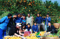 江西玉山“电商模式” 带来农村生活大变革