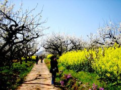 引领全省美丽乡村建设，促进城乡一体化发展