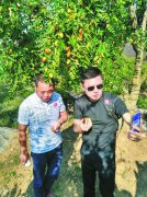 央视名嘴赵普回乡助农卖枣