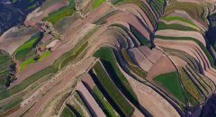 甘肃持续旱情导致农作物减产严重