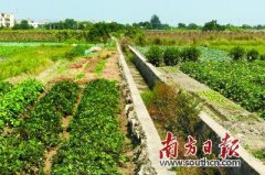 变“因农致贫”为“因农脱贫”