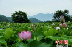 中国乡村游火爆激活农村经济