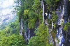 <b>四川泸州：叙永6旬老人天台山攀崖种树30年 荒山变绿林</b>