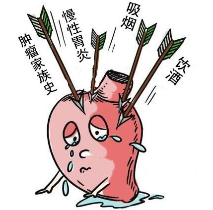 点击图片进入下一页 日本研究发现难治胃癌发病机理 有望研发新药