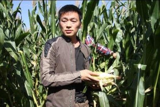 他们都是农村出身，没背景照样大红大紫