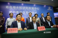 <b>青岛：袁隆平研发海水稻 盐碱地变良田可养活2亿人</b>