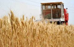 全国“三农”媒体山西行启动