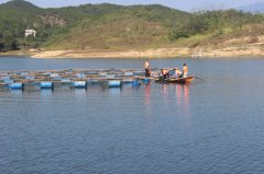 “还百姓一方绿水”湖北蕲春县渔政执法人员强制拆除非法养殖网箱