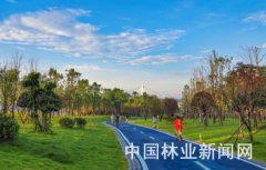 四川宜宾：森林抱城市 创新推经济