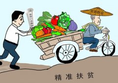 论坛：乡镇精准扶贫真相与反思