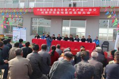 山西临县：科技种植马铃薯 农民种出“薯”状元