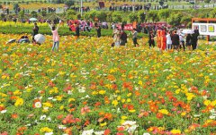 “南充名片”乡村旅游全国休闲农业样板