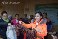 <b>贵州龙里：“空中农贸市场”脱贫攻坚新助力</b>